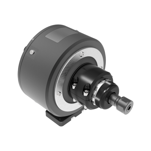 TacBurr™ R-50 Short